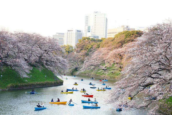 歩いて春を感じよう 春のおでかけにおすすめな 東京お散歩コース 10選 Retrip リトリップ