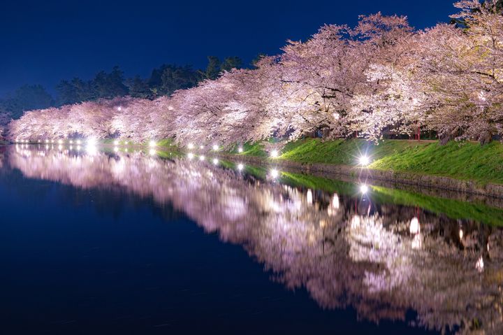 夜は2人で 夜桜デートしてみない 全国のおすすめ 夜桜スポット 10選 Retrip リトリップ