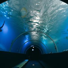 9482536b-7dcc-4363-8d1f-