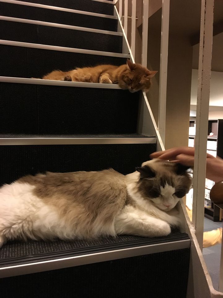 おうちデート脱却 インドア派の彼氏を外に連れ出すデートプランはこれだ Retrip リトリップ