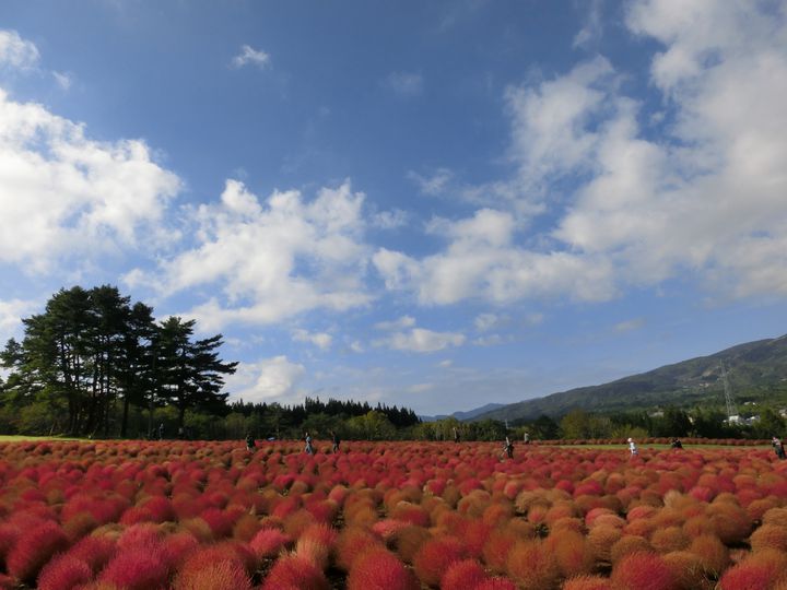 一年中楽しさ満点 岐阜県 ひるがの高原 でしたい7つこと Retrip リトリップ