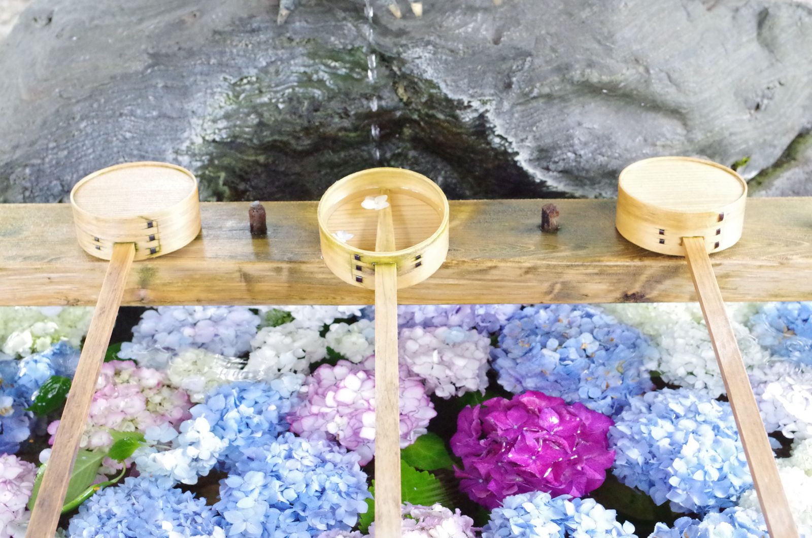 まるで水面に花が咲いているよう 御裳神社の 手水舎のあじさい が絶景と話題 Retrip リトリップ