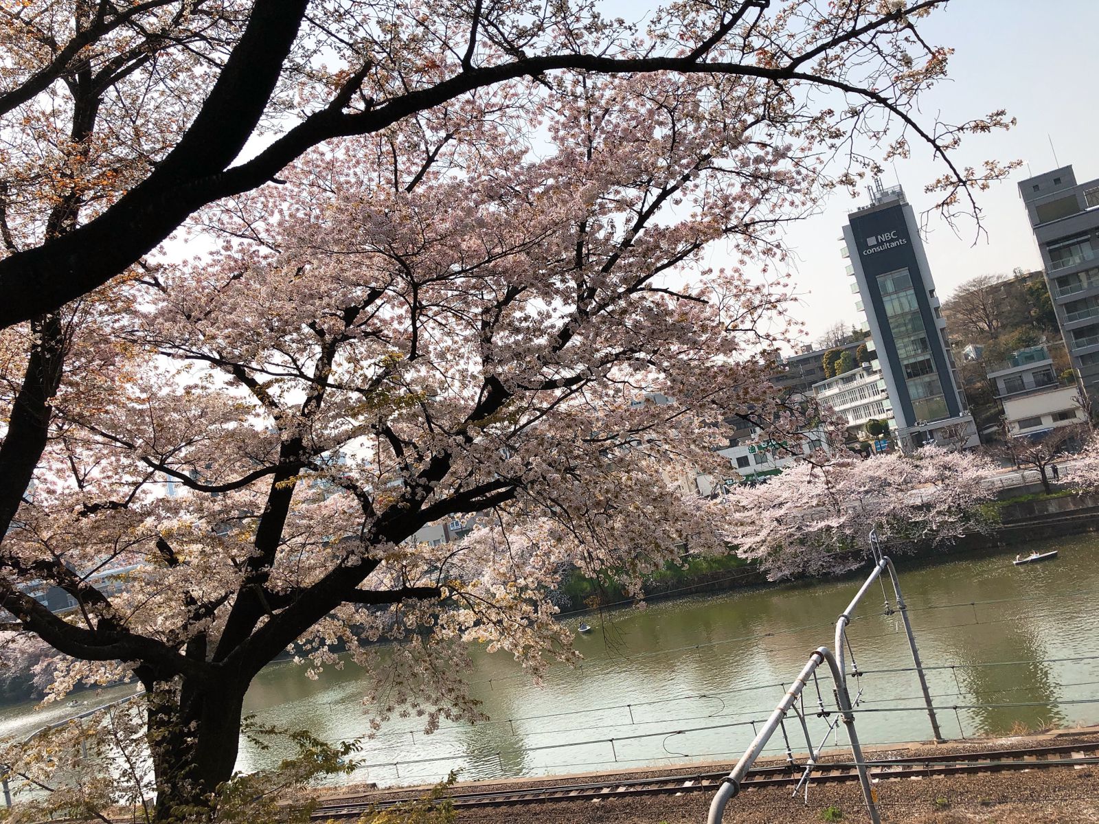 外濠公園 | RETRIP[リトリップ]