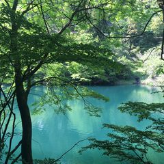 東京とは思えない大自然 川遊びもbbqも楽しめる 鳩ノ巣渓谷 とは Retrip リトリップ