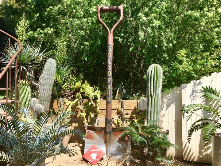 まるで絵本の世界 知る人ぞ知る川崎市の Solso Farm が魅力的すぎた Retrip リトリップ