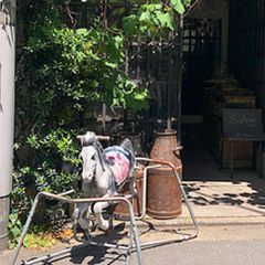 ニュース画像