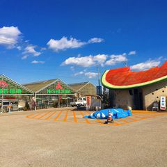 高知で見つけた 本当は教えたくない穴場のおでかけスポット選 Retrip リトリップ