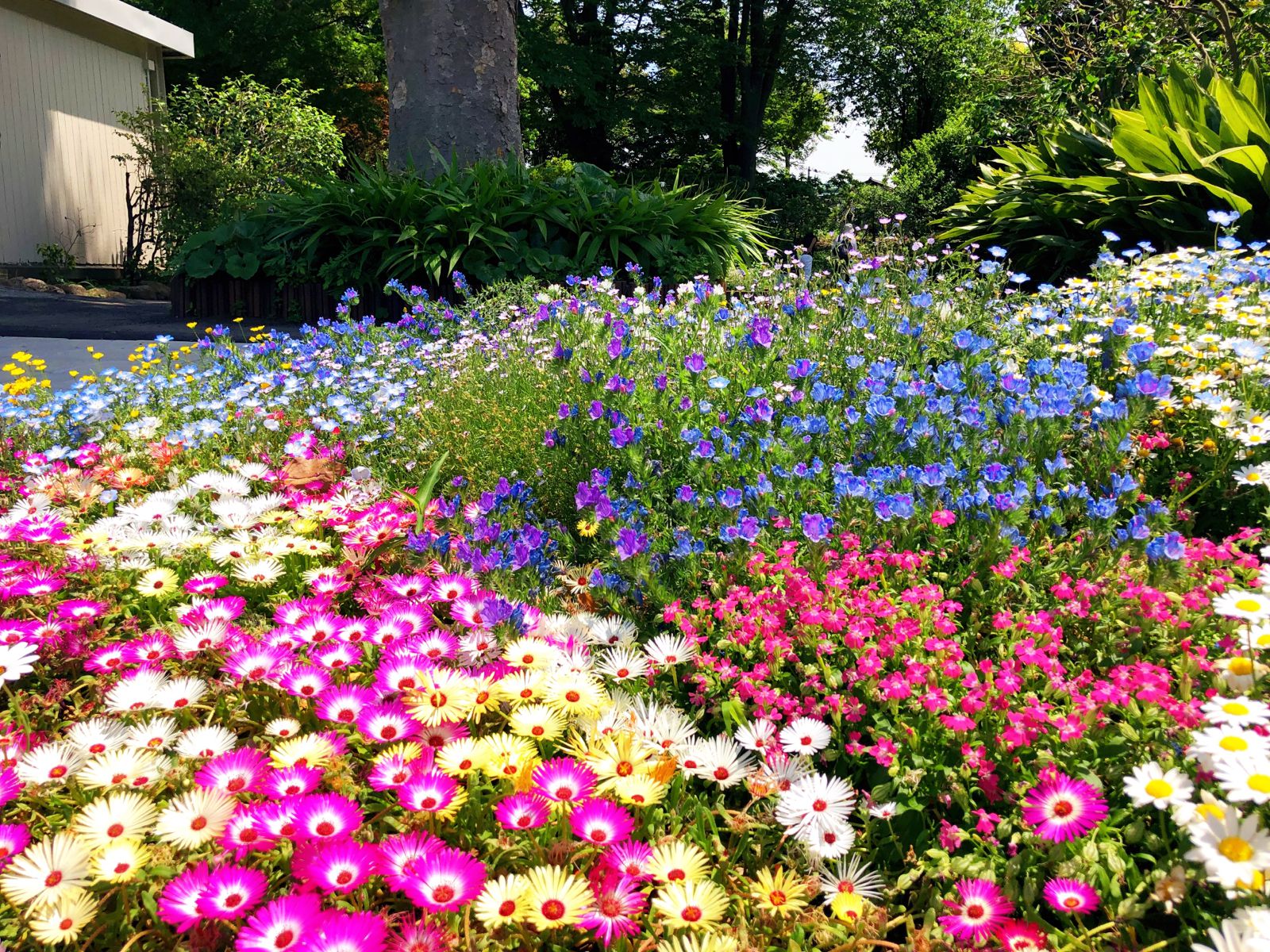 日比谷花壇大船フラワーセンター Retrip リトリップ