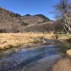 え 沼なのに地下水 メチャクチャ綺麗な沼 光徳沼 を見に行こう Retrip リトリップ