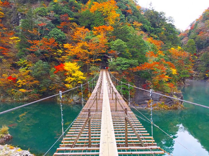 夢の吊り橋 秋の紅葉 静岡 寸又峡の紅葉 を見に行きたい Retrip リトリップ