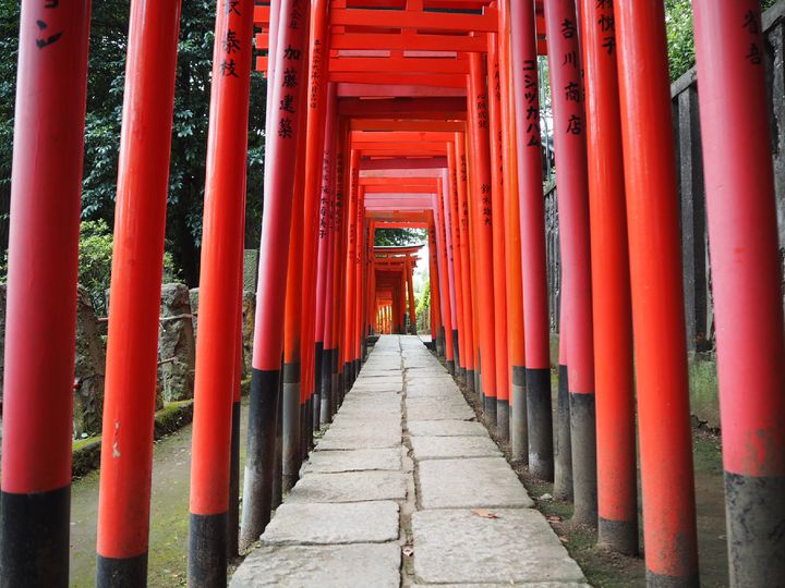 谷根千エリアのパワースポット！根津神社のみどころ紹介