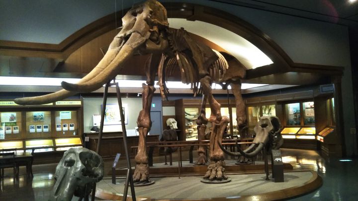 滋賀県立琵琶湖博物館