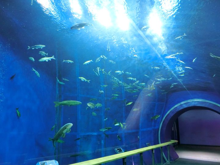 滋賀県立琵琶湖博物館