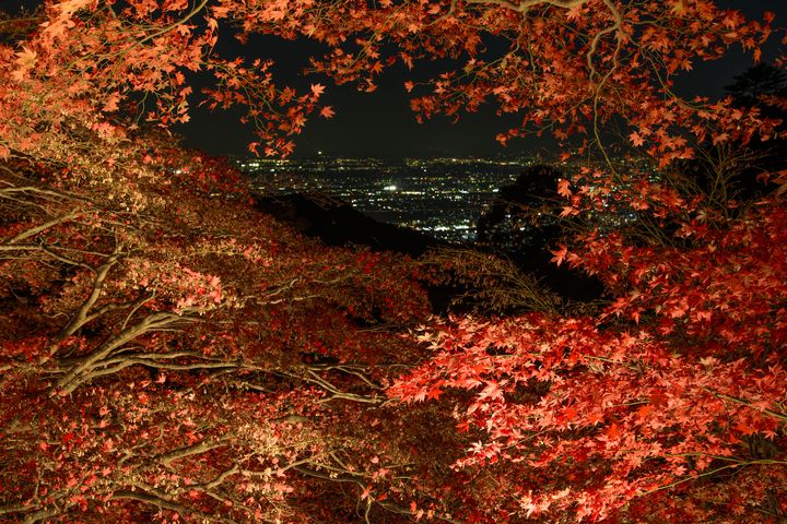 寺社巡りを紅葉と共に。関東地方にある紅葉を楽しめる“寺社”7選