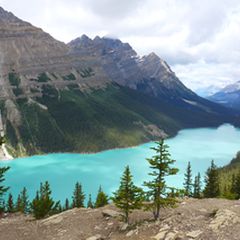 3db701a5-9913-4d01-b101-