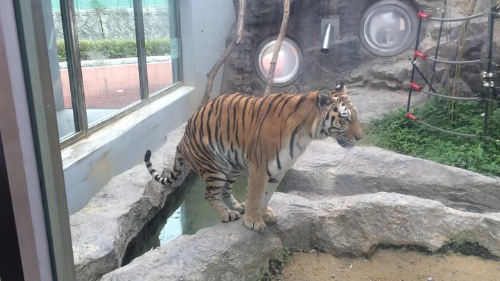 広島県の動物園ならここ 福山動物園でしたい５つのこと Retrip リトリップ