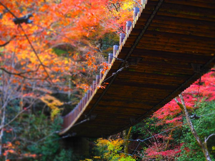 意外に穴場 ぜひ行ってほしい茨城でオススメの人気観光スポット選 Retrip リトリップ