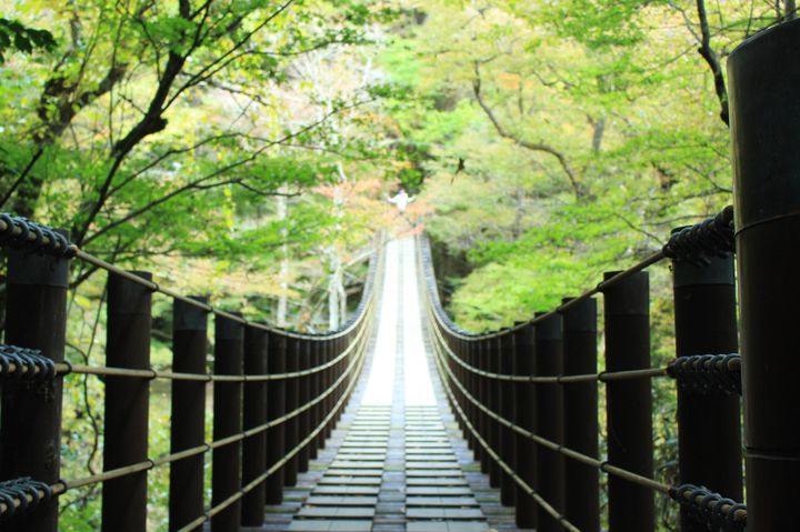 《茨城》美しき日本を再発見！茨城のフォトジェニックな絶景スポット7選