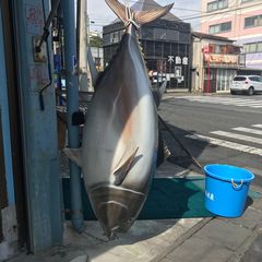 最新 三崎の人気ショッピングモールランキングtop1 Retrip リトリップ