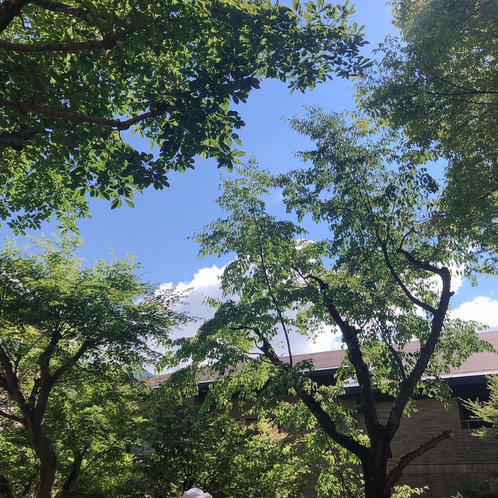 女同士で行くからより楽しい 箱根女子旅のおすすめスポットガイド Retrip リトリップ