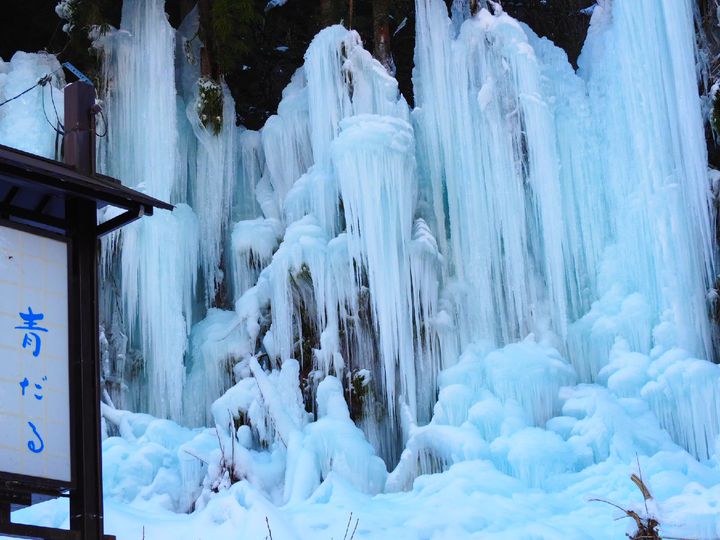 開催中 氷のカーテンを美しく照らす 岐阜 福地温泉にて 青だるライトアップ 開催 Retrip リトリップ