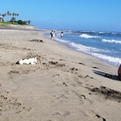 今年のビーチはどこに行く 千葉でおすすめの海水浴場ランキングtop12 Retrip リトリップ