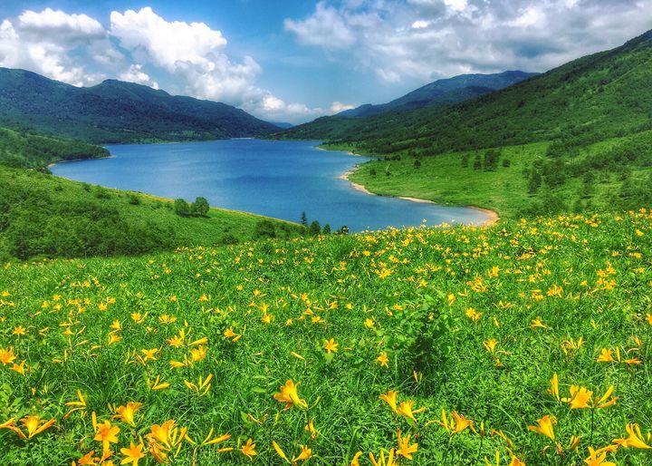 天空の湖”と賞賛される絶景！群馬県の「野反湖」は大自然の宝庫だった
