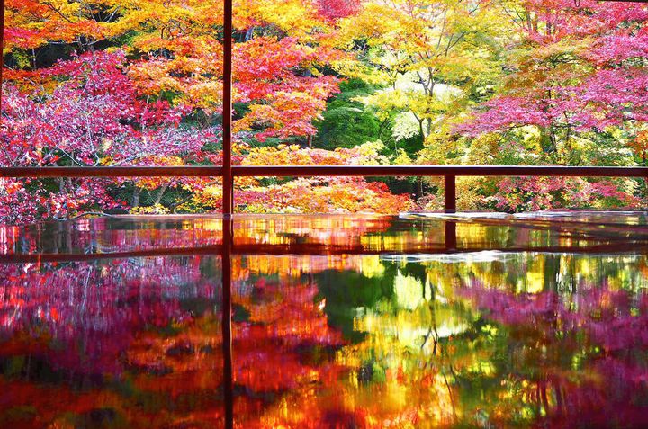 今がイチバン楽しめる 秋の京都でしたいこと 5つ おすすめスポット12選 Retrip リトリップ