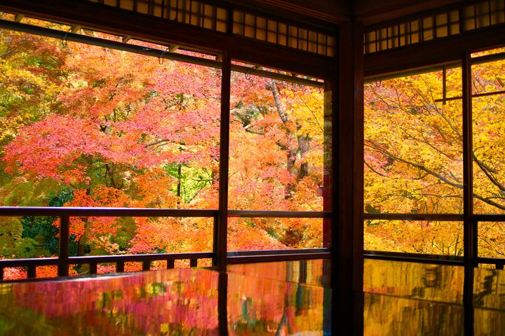 秋旅行は贅沢に！秋スポット完全網羅の“京都大阪2泊3日”プランはこれだ