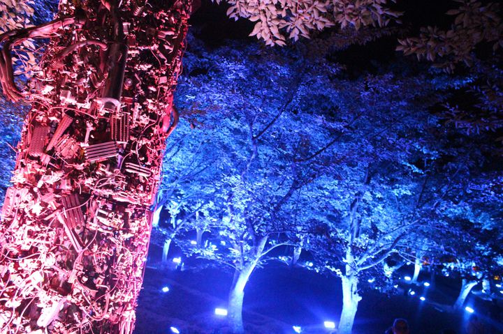 終了 光と自然の幻想的なコラボ Tokiwa ファンタジア21 開催 Retrip リトリップ