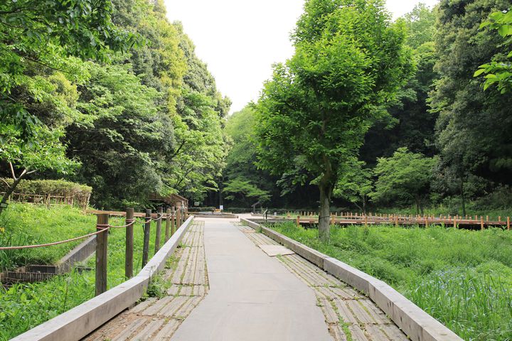 2025最新】穴場・隠れ家はここ！川崎の人気公園ランキングTOP30