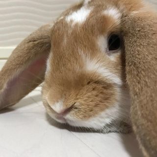 21最新 中国地方の人気動物園 水族館ランキングtop25 Retrip リトリップ