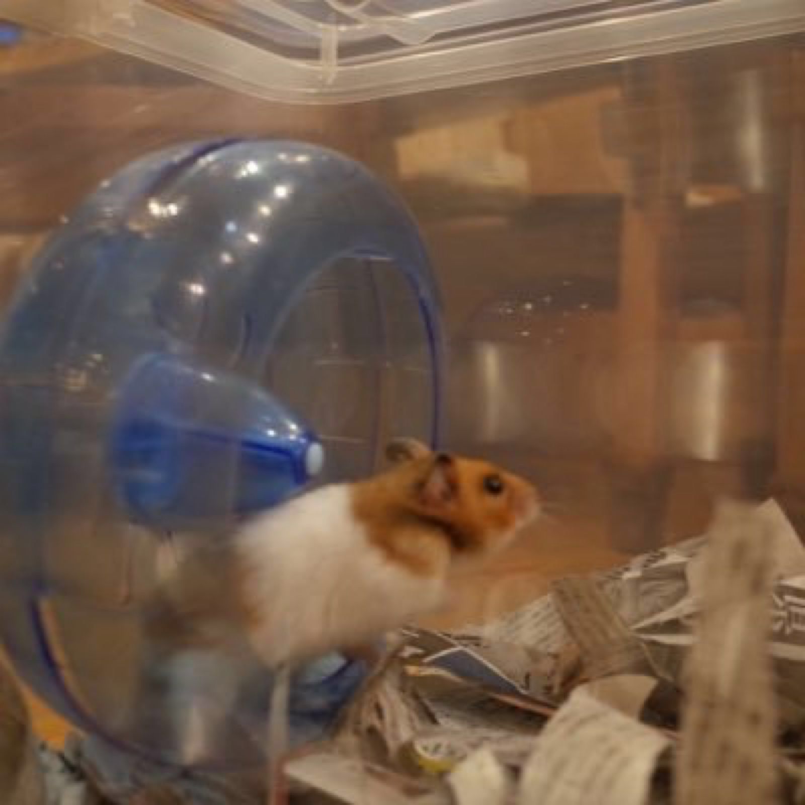 金沢だけじゃない 石川県の人気観光スポット 金沢エリア以外で厳選10選 Retrip リトリップ