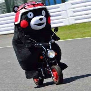 21最新 ヨーロッパの人気動物園 水族館ランキングtop18 Retrip リトリップ