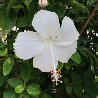 22最新 東浦和の人気スポットランキングtop30 Retrip リトリップ