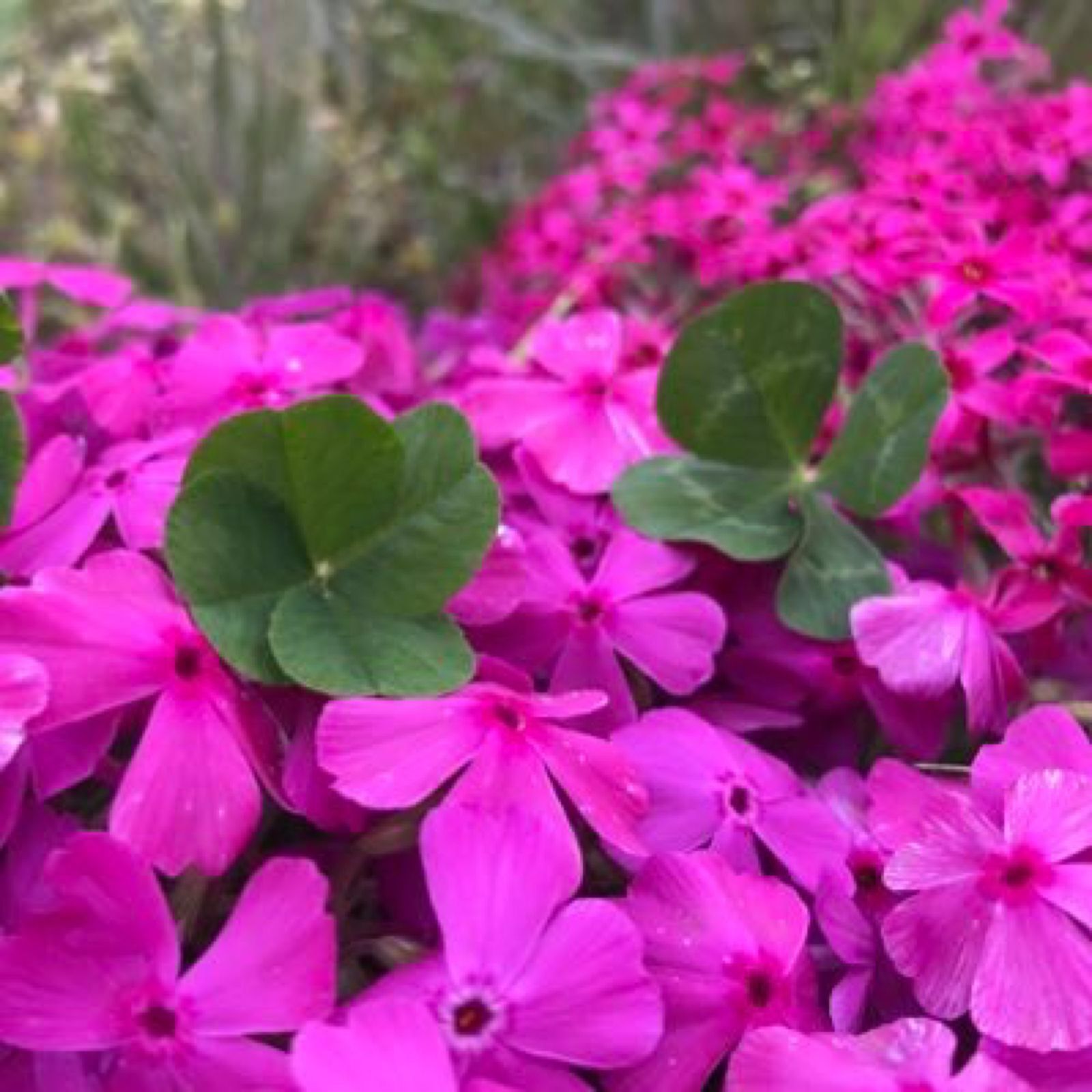 死ぬまでに一度は見たい 思わず感動する日本国内の 神秘的な池 5選 Retrip リトリップ