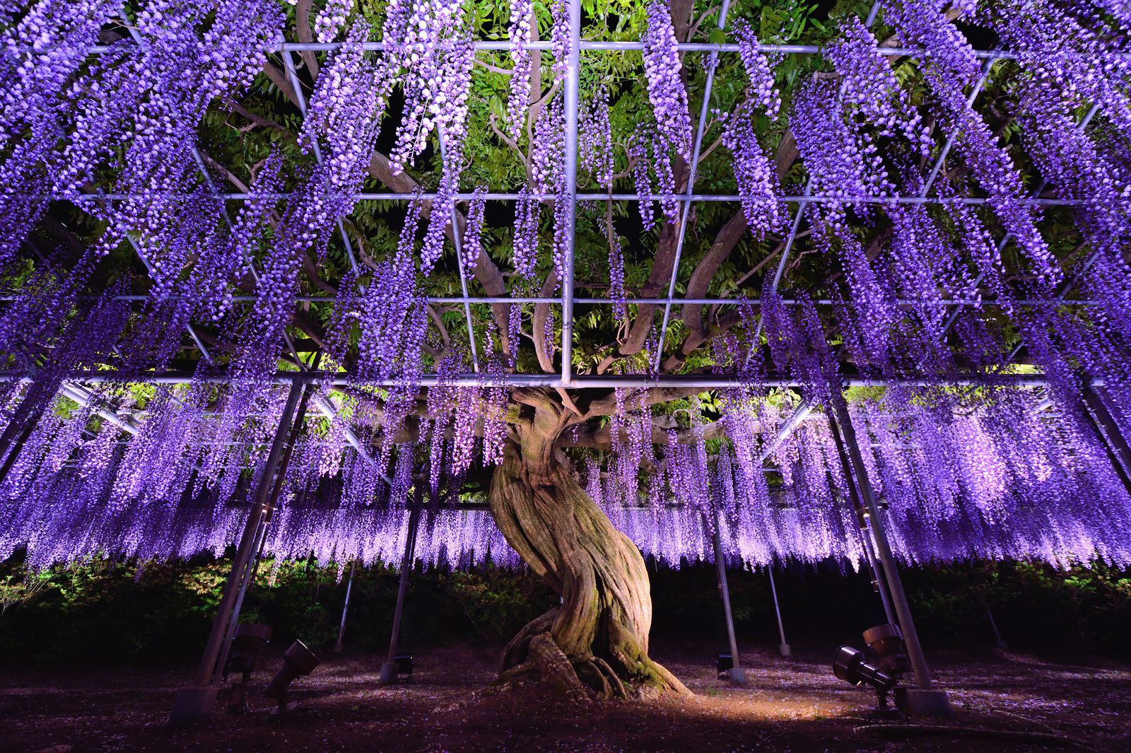 迷ったらここ 東京タワーと合わせて行けるおすすめレストラン5選 Retrip リトリップ