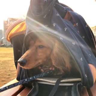 21最新 近畿 関西地方の人気たこ焼きランキングtop30 Retrip リトリップ