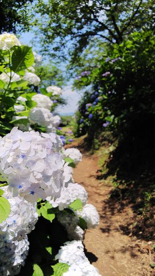 22最新 春日部 越谷 草加の人気カレーランキングtop30 Retrip リトリップ