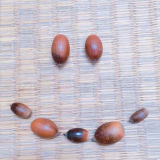 21最新 絶品ランチならここ 箱根の人気展望台 タワーランキングtop9 Retrip リトリップ