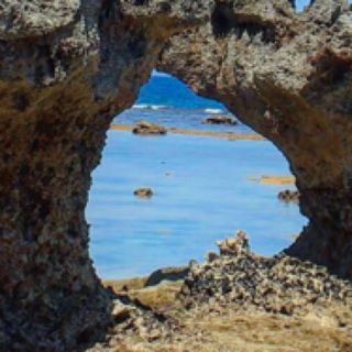 21最新 新宿の人気遊園地 テーマパーク 公園ランキングtop1 Retrip リトリップ