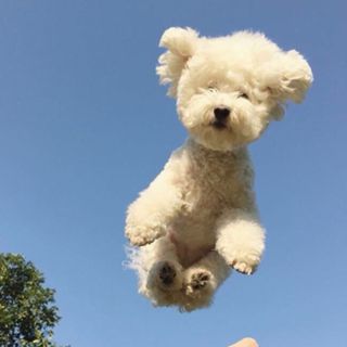 21最新 誕生日プランあり 近畿 関西地方の人気スポットランキングtop30 Retrip リトリップ