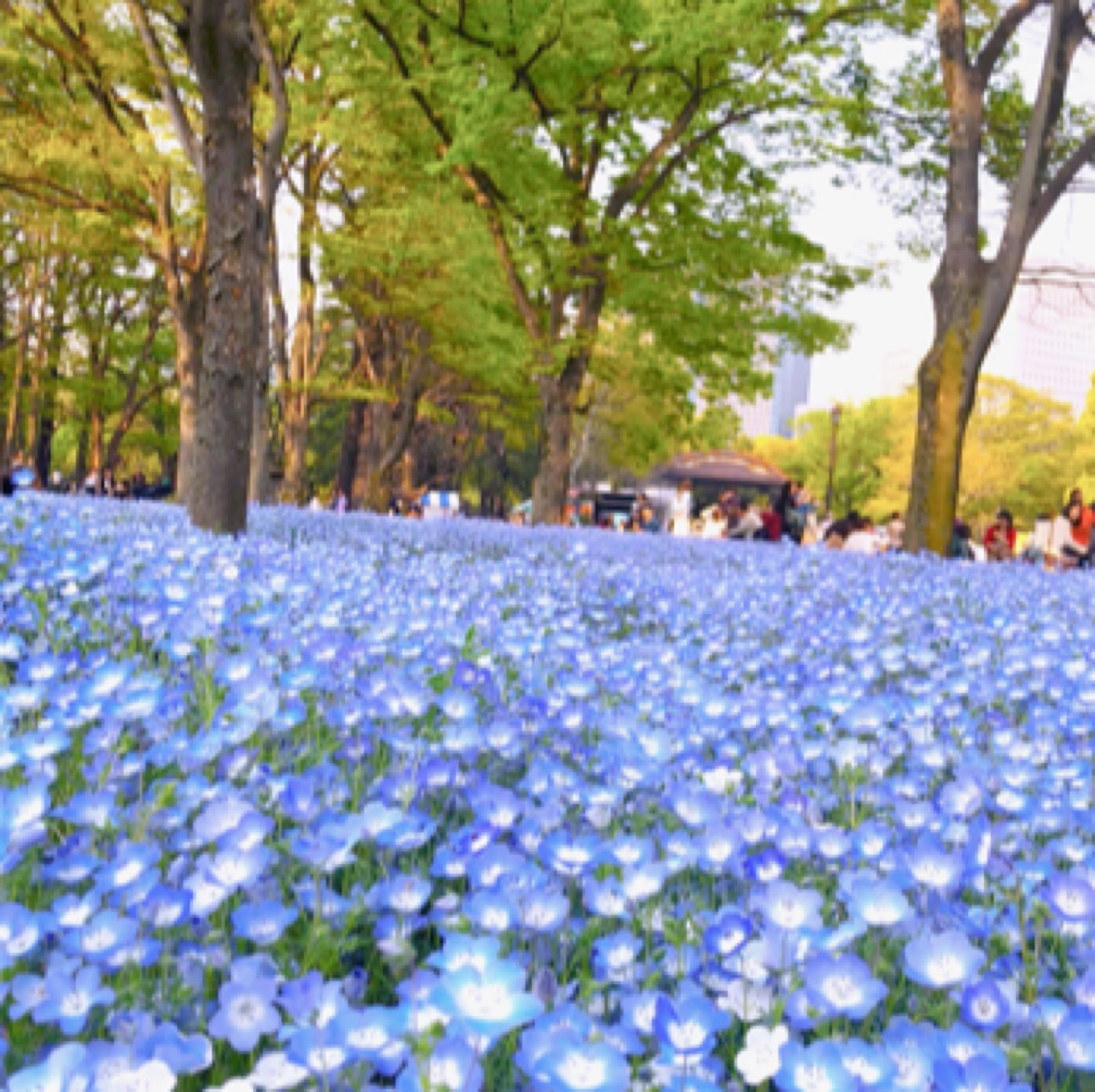 彼氏彼女と楽しいデートを 名古屋のおすすめデートスポット50選 Retrip リトリップ