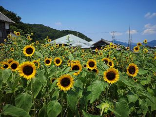 21最新 香川の人気カフェ 喫茶ランキングtop30 Retrip リトリップ