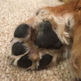 22最新 軽井沢の人気焼肉ランキングtop23 Retrip リトリップ